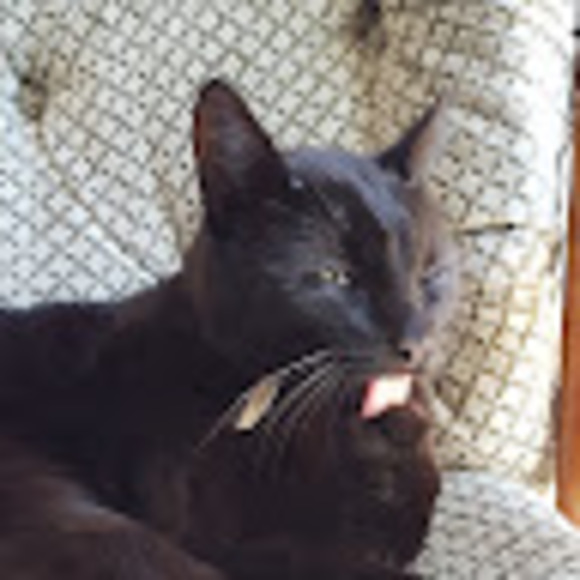 Meet your Posher, Erin - Picture 1 of 1